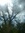 14936073