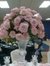 Margie Visser