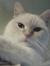 Treena