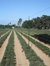 Agronomia Agropecuario