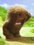 Jared