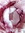 Rebecca