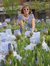 Diane Belback