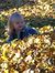 Elyse