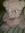 Nyles