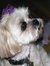 Deborah Rudnicki applegate