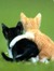 Gowri
