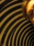 Kelly