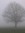 Myst