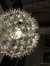 Tinsel