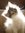 Jessy (snuggleglooms) | 381 comments