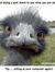 Daithi Coombes