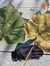 Nancy Eastham