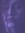 16177235