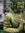 Orla