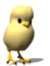 Chicki