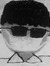 Dan