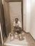 Kensy J...