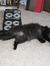 Tom