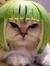 Gerri