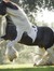 Beth Beesmer