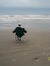 Scott Rushing