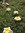 Starr | 59 comments