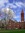 Dalace