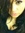 Irene R...