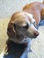 17bailey_andrew