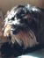 Sacha