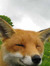 Neil Jones