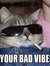 Cleverusername