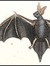 Vesperbat