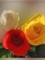 Hazhar Swar
