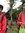 Naufal ...