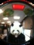 pandamans