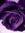 Gracy