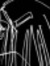 Colette Nicholl