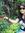 Poonam ...