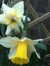 Sally Kingsbury