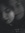 Merve