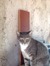 Arlo