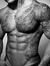 Laurie P