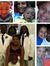 Mionna Coleman