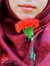 Cik Hani afifah