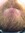 jaw | 7 comments