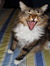 Mione