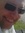 Steve R...
