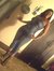 La Yoly